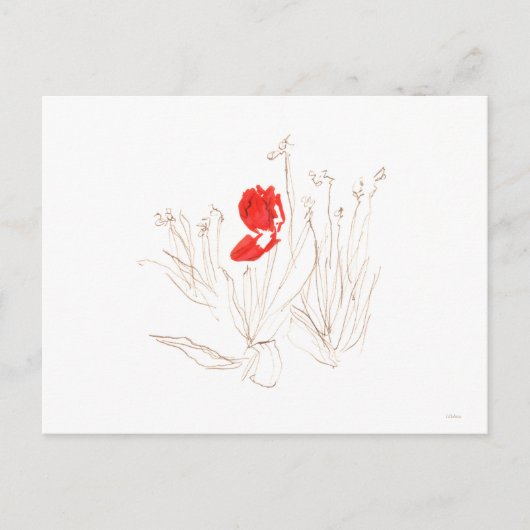 Lieve tulp in het briefkaart van de wind en de reg (Voorkant)
