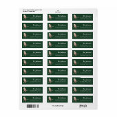 Lieve uil vogel Groen Kerstmis Etiket (Full Sheet)