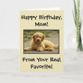 Lieve verjaardagskaart van de hond Foto  Bedankkaart (Voorkant)