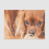 Lieve vriend Cavalier King Charles Tissuepapier (Voorkant)