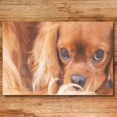Lieve vriend Cavalier King Charles Tissuepapier