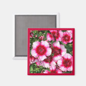 lieve william1Magneet Magneet (Voorkant / Achterkant)