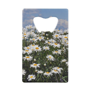 Lieve witte daisy-tuin creditkaart flessenopener