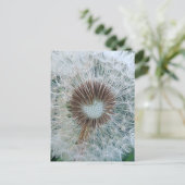 Lieve Witte Paardenbloem Briefkaart (Staand voorkant)