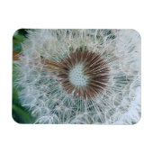 Lieve Witte Paardenbloem Magneet (Horizontaal)