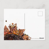 LIEVE ZONDAG! :) KAART "DENKEN AAN JOU" (Achterkant)