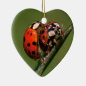 Lieveboeren In Love Keramisch Ornament (Rechts)