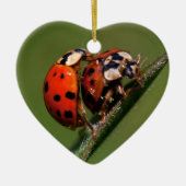 Lieveboeren In Love Keramisch Ornament (Voorkant)