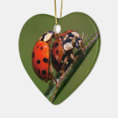 Lieveboeren In Love Keramisch Ornament (Links)