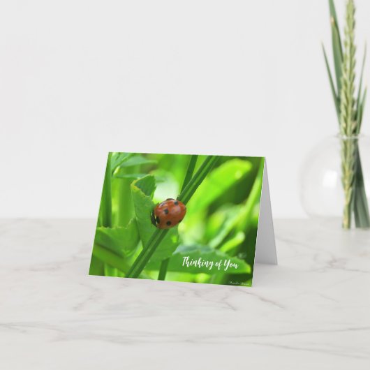 Lieveheersbeestje - Aan Jou Denkend Kaart (Voorkant)