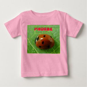 Lieveheersbeestje Baby