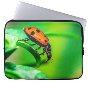 Lieveheersbeestje blad laptop sleeve