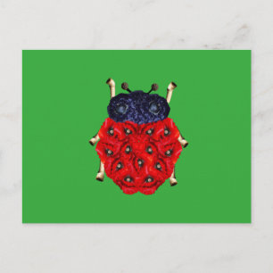 Lieveheersbeestje Briefkaart