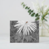 Lieveheersbeestje Briefkaart (Staand voorkant)