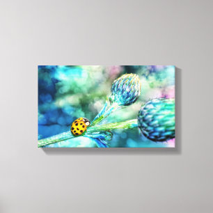 Lieveheersbeestje Canvas Afdruk