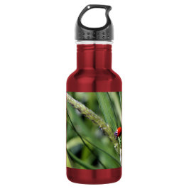 Lieveheersbeestje (Coccinellidae) Waterfles