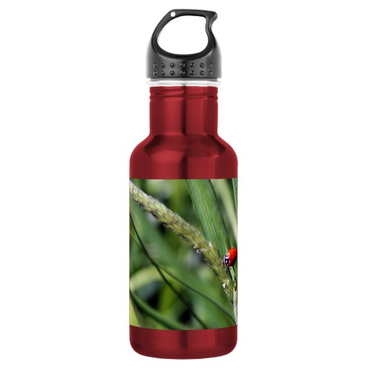 Lieveheersbeestje (Coccinellidae) Waterfles (Voorkant)