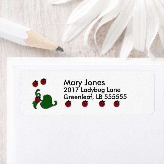 Lieveheersbeestje Decor Etiket (Insitu)