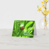 Lieveheersbeestje - Denken Aan Jou Kaart (Gele Bloem)