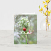 Lieveheersbeestje en wilde bloem - Blank Wenskaart Kaart (Gele Bloem)