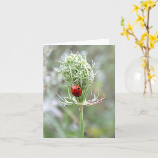 Lieveheersbeestje en wilde bloem - Blank Wenskaart Kaart (Gele Bloem)