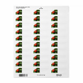 Lieveheersbeestje Etiket (Full Sheet)
