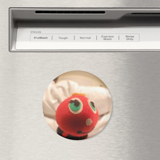 Lieveheersbeestje gezichtsmagneet magneet (Insitu (Vaatwasser))