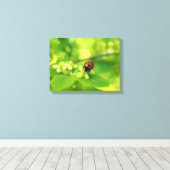 Lieveheersbeestje helder canvas afdruk (Insitu (Houten vloer))