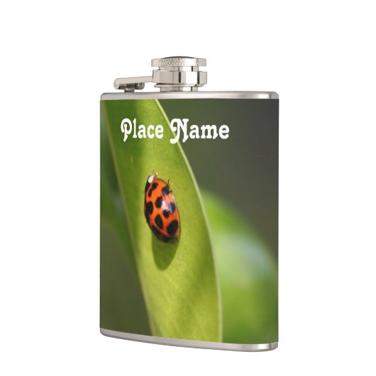 Lieveheersbeestje Heupfles (Links)