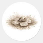 Lieveheersbeestje in bloei Zachte monochrome natuu Ronde Sticker (Voorkant)