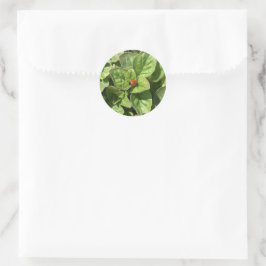 Lieveheersbeestje in het park ronde sticker
