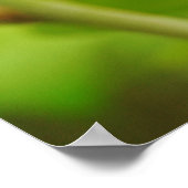 Lieveheersbeestje in Leaves Bible Verse Art Poster (Hoek)