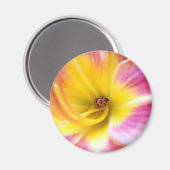 Lieveheersbeestje in Lilly Magneet (Voorkant / Achterkant)