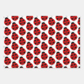 Lieveheersbeestje Inpakpapier Vel Set (Voorkant)