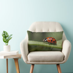 Lieveheersbeestje Insect Kussen