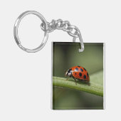 Lieveheersbeestje Insect Sleutelhanger (Voorkant Links)