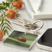 Lieveheersbeestje Insect Sleutelhanger (Voorkant Rechts)
