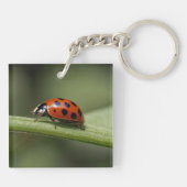 Lieveheersbeestje Insect Sleutelhanger (Achterkant)