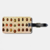 lieveheersbeestje insectenbeestje bagagelabel (Achterkant horizontaal)