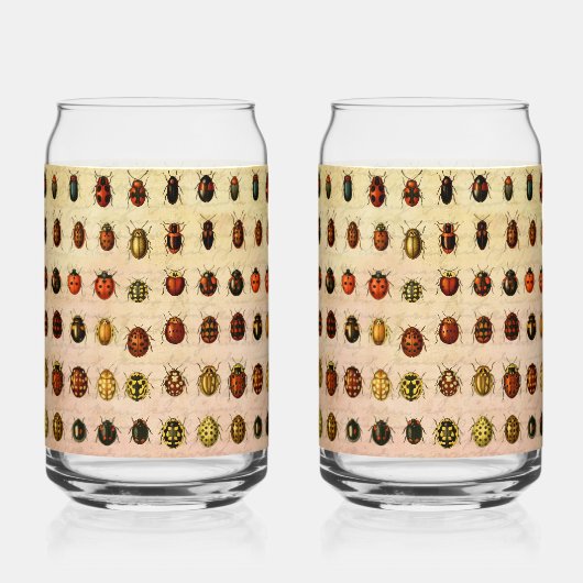 lieveheersbeestje insectenbeestje blikvorm glas (Voorkant)