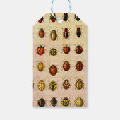 lieveheersbeestje insectenbeestje cadeaulabel (Achterkant)