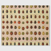 lieveheersbeestje insectenbeestje cadeaupapier (Vlak)