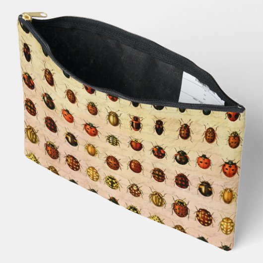 lieveheersbeestje insectenbeestje etui (Open)