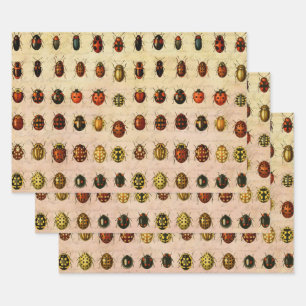 lieveheersbeestje insectenbeestje inpakpapier vel