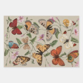 lieveheersbeestje insectenbeestje inpakpapier vel (Voorkant 2)