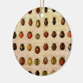 lieveheersbeestje insectenbeestje keramisch ornament (Links)