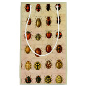 lieveheersbeestje insectenbeestje klein cadeauzakje (Voorkant)