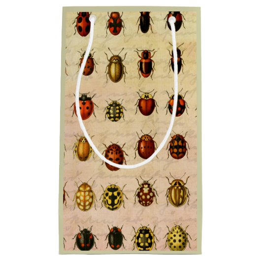 lieveheersbeestje insectenbeestje klein cadeauzakje (Voorkant)