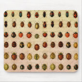 lieveheersbeestje insectenbeestje muismat (Voorkant)