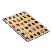 lieveheersbeestje insectenbeestje notitieboek (Rechterzijde)